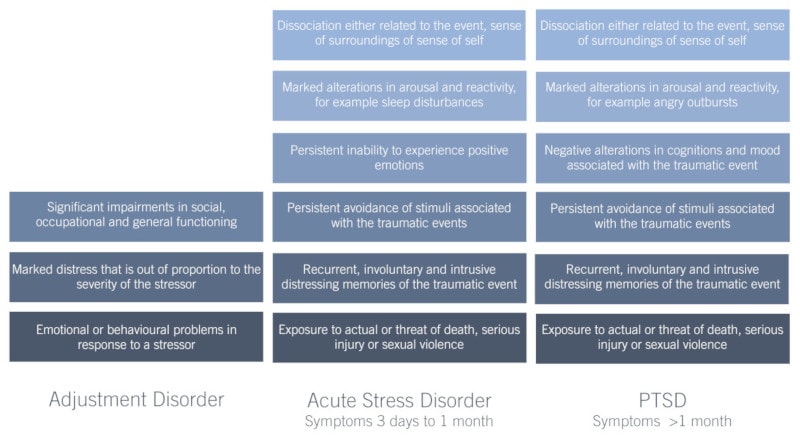 Presenting symptoms of Adjustment Disorder, Acute Stress Disorder and PTSD for psychological assessments