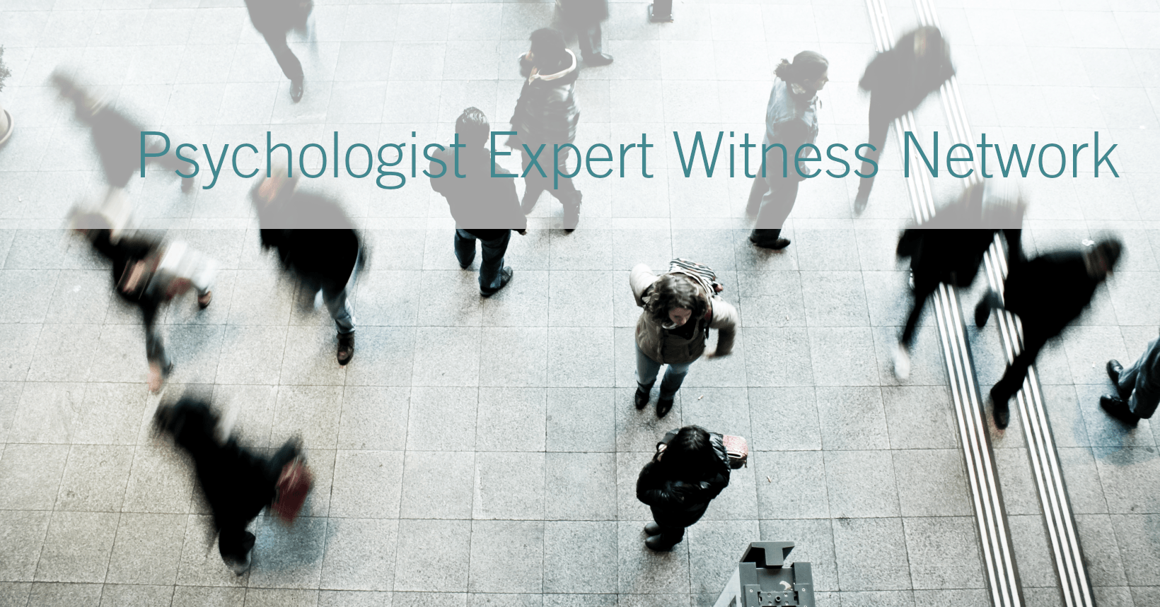 expert witness psychologist expert witness psychologist